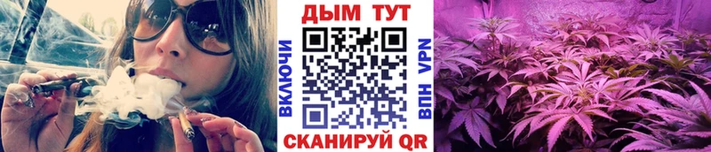 Конопля сатива  наркошоп  дарк нет как зайти  Палласовка 